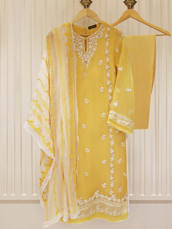 Agha Noor Pure Chiffon 3 Piece 4298 - Salai - Agha Noor 