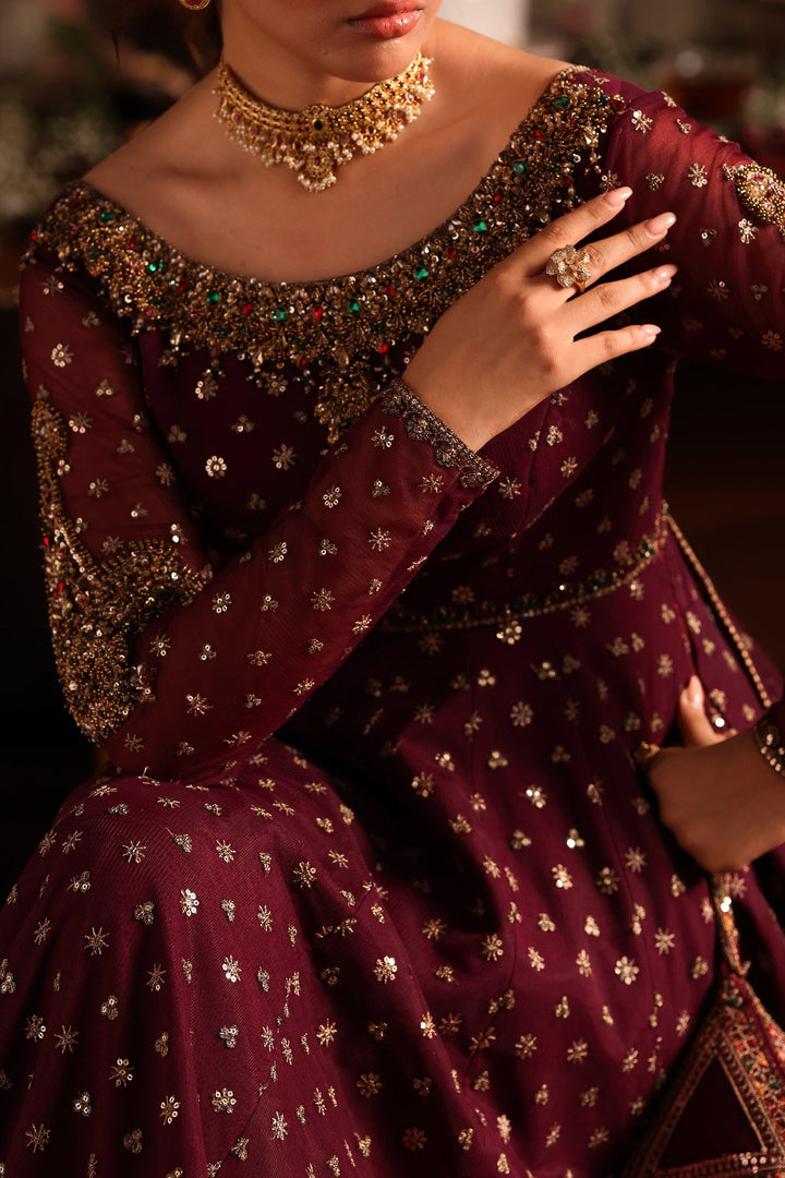 2-PC Embroidered Net Pishwas Suit stm-5-09 - Salai - Charizma RTW Winter 2025 