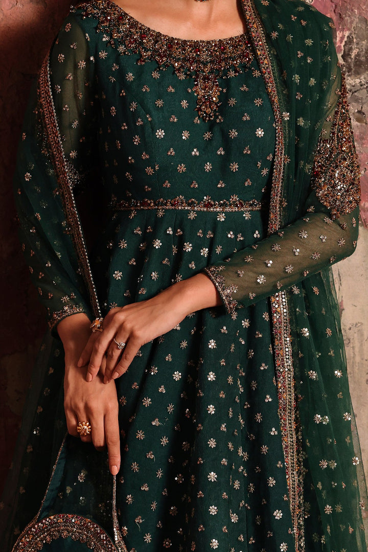 2-PC Embroidered Net Pishwas Suit stm-5-08 - Salai - Charizma RTW Winter 2025 