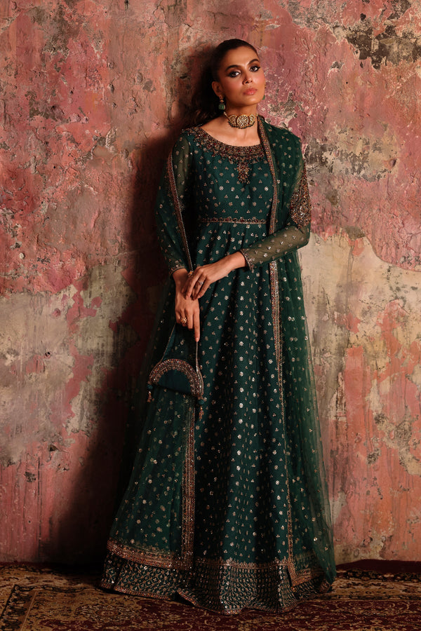 2-PC Embroidered Net Pishwas Suit stm-5-08 - Salai - Charizma RTW Winter 2025 