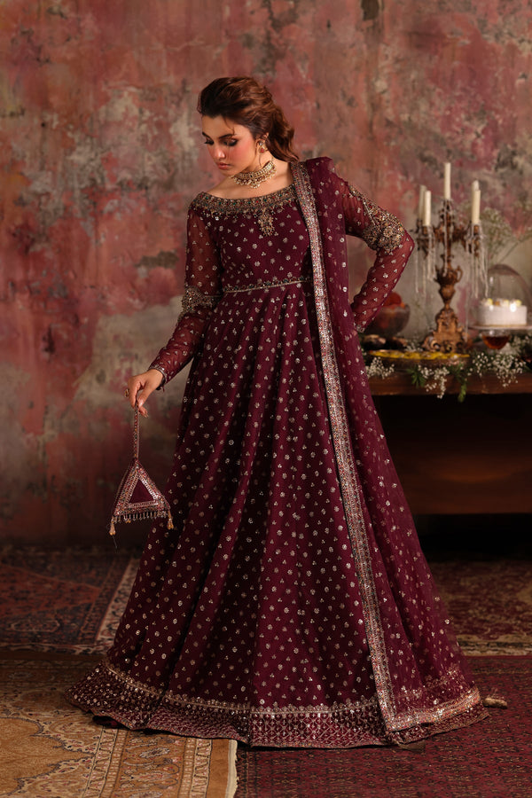 2-PC Embroidered Net Pishwas Suit stm-5-09 - Salai - Charizma RTW Winter 2025 