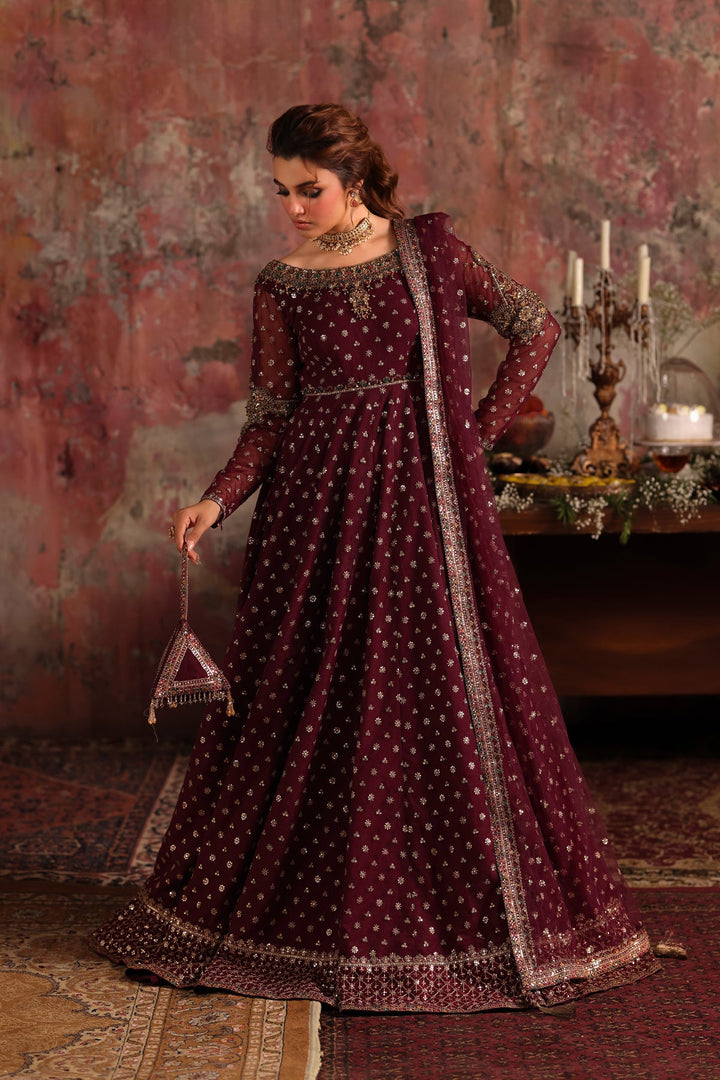 2-PC Embroidered Net Pishwas Suit stm-5-09 - Salai - Charizma RTW Winter 2025 