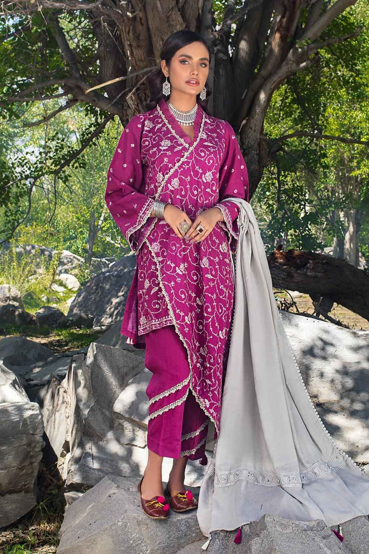 Gul Ahmed Stitched Winter Pashmina 3 Piece AP-12031 - Salai - Gul Ahmed 